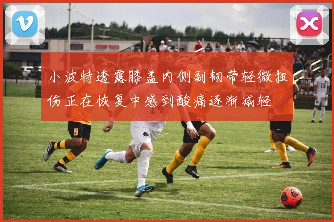 小波特透露膝盖内侧副韧带轻微扭伤正在恢复中感到酸痛逐渐减轻
