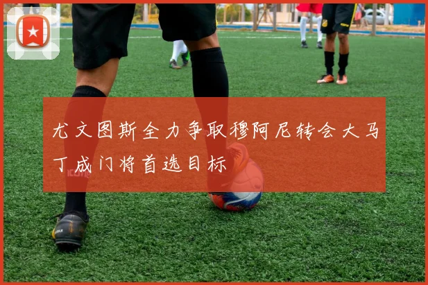 尤文图斯全力争取穆阿尼转会大马丁成门将首选目标